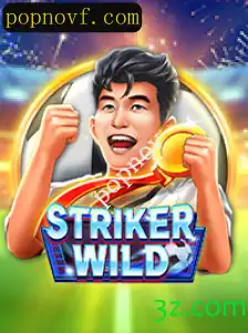 StrikerWILD: O Novo Fenômeno do Mundo dos Jogos